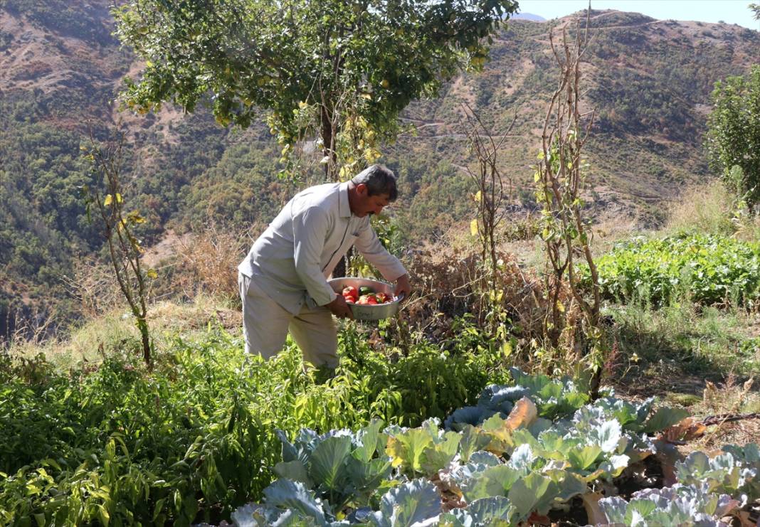 Terörün susturduğu köy, arılarla tekrar hayat buldu 13
